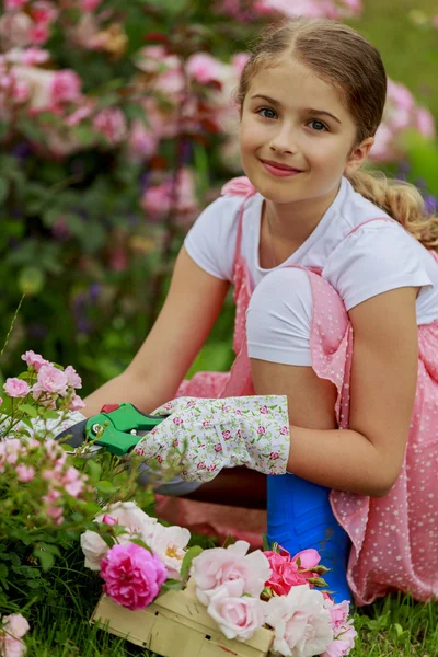 Rozentuin - mooi meisje snijden rozen in de tuin — Stockfoto