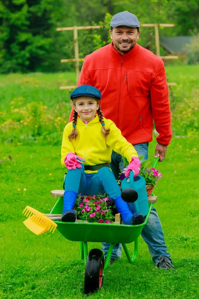 Jardinería, plantación - niña en la carretilla ayudar a padre en el gard —  Fotos de Stock