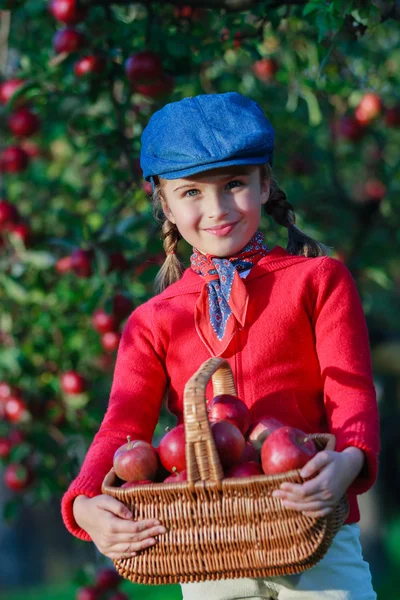 Jong meisje biologische appels plukken in de basket.orchard. — Stockfoto