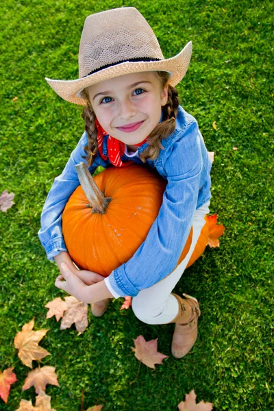 Cosecha de calabazas, otoño en el jardín —  Fotos de Stock