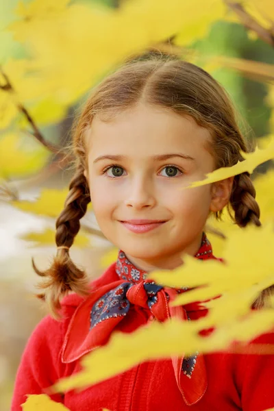 Diversión de otoño - chica encantadora tiene una diversión en hojas de otoño —  Fotos de Stock