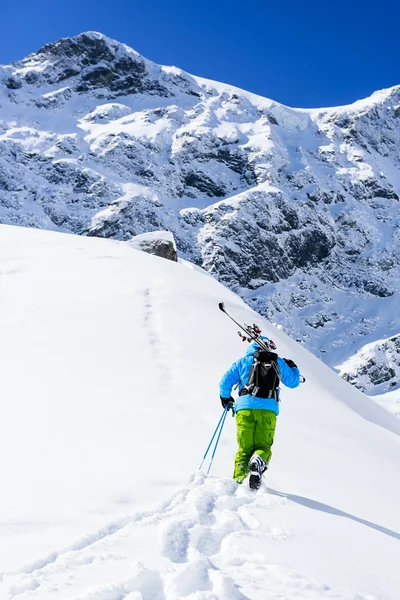 Skiing, Skier, Freeride - Man with skis climbs to the top — Stock Photo, Image