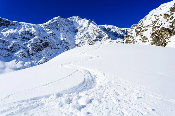 Esquí, deporte de invierno, montañas de invierno - freeride en polvo fresco —  Fotos de Stock