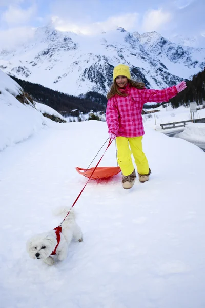 Winter, rodelen, kind, sneeuw - meisje met hond genieten van de winter — Stockfoto