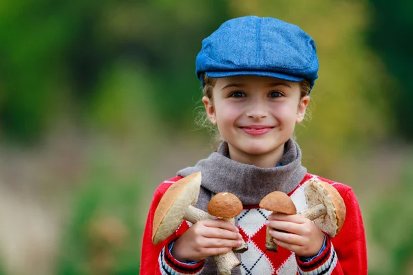 Paddestoelen plukken, seizoen voor paddestoelen — Stockfoto