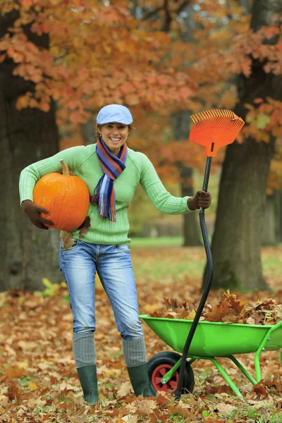 Otoño en el jardín - cosecha de calabazas — Foto de Stock