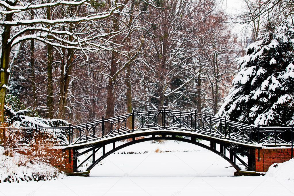 Winter scene - Old bridge in winter snowy park