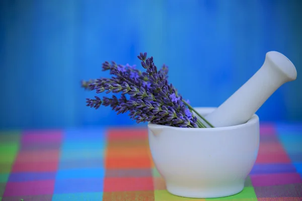 Lavendel örter i en mortel, friska kosmetika koncept — Stockfoto