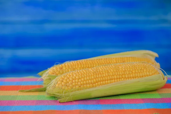 Corn on the cob — Stock Photo, Image