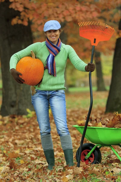 Autumn in the garden - harvest of pumpkins — Stock Photo, Image