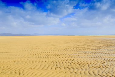 Sotavento fuerteventura, Kanarya Adaları, İspanya plaj