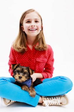 köpek yavrusu, sevimli yorkshire terrier - genç kız en yakın arkadaşlarım