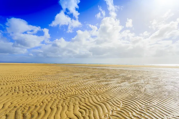 Playa de Sotavento en Fuerteventura, Islas Canarias, España — Foto de Stock