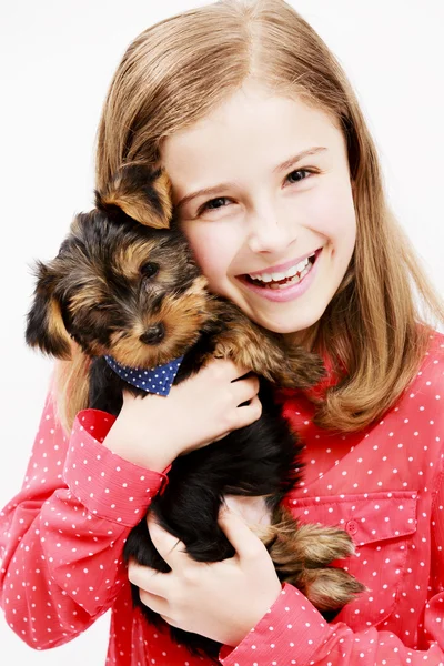 Chica joven con cachorro, lindo Yorkshire terrier - mejores amigos — Foto de Stock