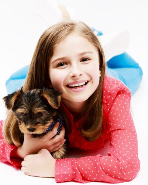 köpek yavrusu, sevimli yorkshire terrier - genç kız en yakın arkadaşlarım