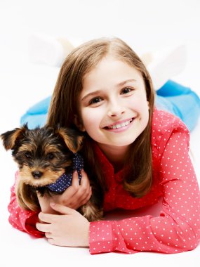 köpek yavrusu, sevimli yorkshire terrier - genç kız en yakın arkadaşlarım