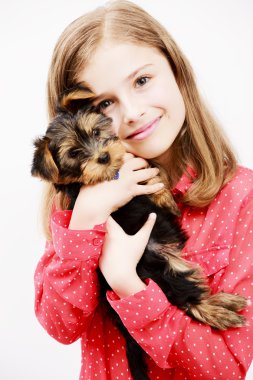 köpek yavrusu, sevimli yorkshire terrier - genç kız en yakın arkadaşlarım