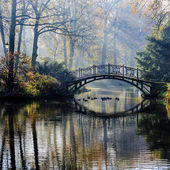 podzim - Starý most v podzimním mlhavé parku