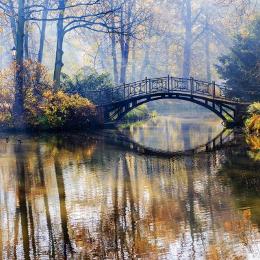 Sonbahar - sonbahar puslu Park'taki eski köprü