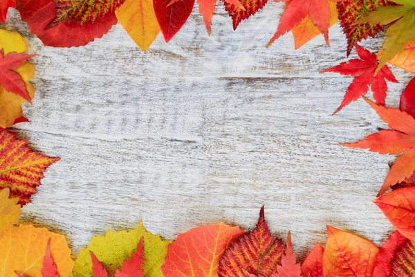 秋の背景 - 色鮮やかな葉からフレーム — ストック写真
