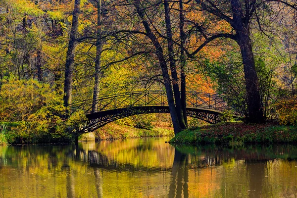 秋 - 秋の霧公園内の古い橋 — ストック写真