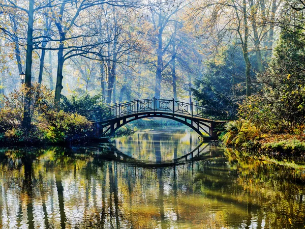 Herbst - alte Brücke im herbstlich nebligen Park — Stockfoto