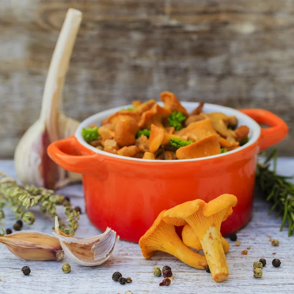 Champiñones chanterelle cocidos en una sartén — Foto de Stock