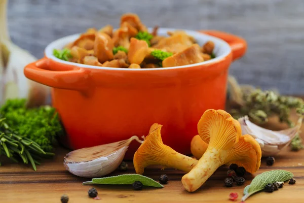 Chanterelle mushrooms cooked in a pan — Stock Photo, Image
