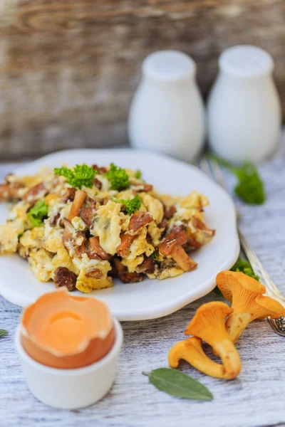 Kantarell - traditionella scrambled ägg med färska kantareller — Stockfoto