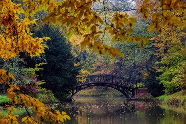 Sonbahar - sonbahar puslu Park'taki eski köprü