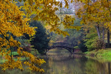 Sonbahar - sonbahar puslu Park'taki eski köprü