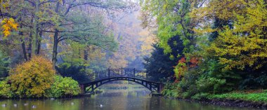 Sonbahar - sonbahar puslu Park'taki eski köprü