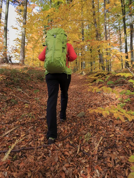 Escursione autunnale donna in montagna — Foto Stock