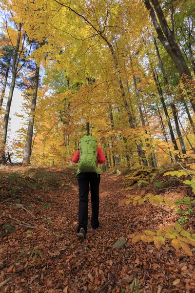 Escursione autunnale donna in montagna — Foto Stock