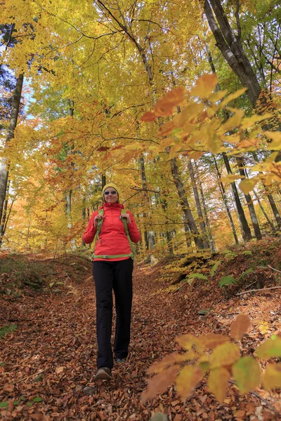 Escursione autunnale donna in montagna — Foto Stock