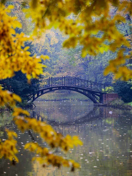秋 - 秋の霧公園内の古い橋 — ストック写真