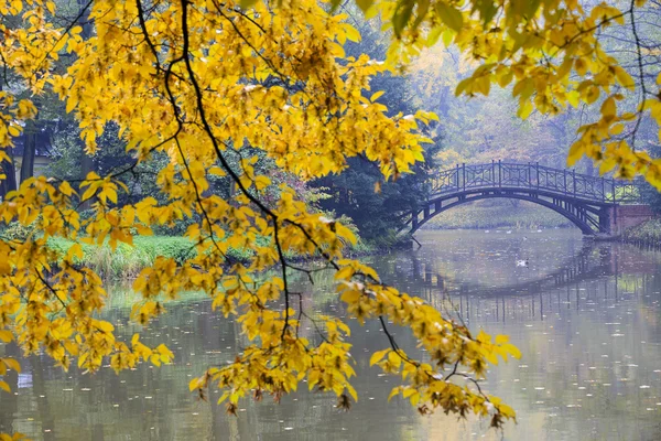 Sonbahar - sonbahar puslu Park'taki eski köprü — Stok fotoğraf