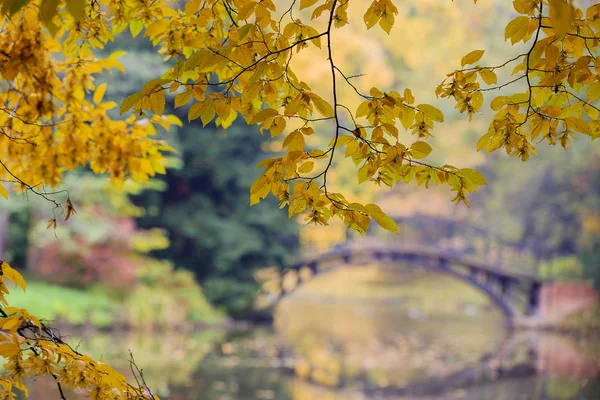 Осень - старый мост в осеннем туманном парке — стоковое фото