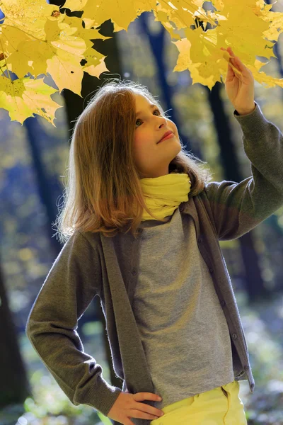 Φθινόπωρο διασκέδαση - υπέροχο κορίτσι έχει ένα διασκεδαστικό στο πάρκο φθινόπωρο — Φωτογραφία Αρχείου