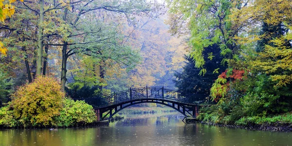 Jesień - Stary most w parku jesienią misty — Zdjęcie stockowe