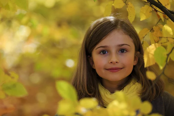 Jesienne zabawy - piękny dziewczyna ma zabawy w parku jesień — Zdjęcie stockowe