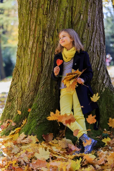 Diversão de outono - linda menina tem uma diversão no parque de outono — Fotografia de Stock