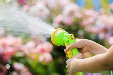 sulama, Çiçek Bahçe - çocuk bahçe hortumu ile sulama güller 