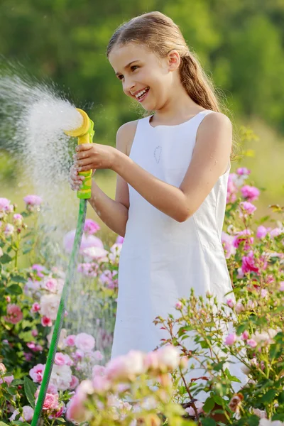 Nyári kert, locsolás - gyönyörű lány öntözés Rózsa — Stock Fotó