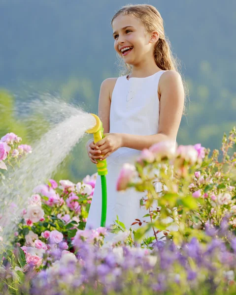 Jardín de verano, riego - hermosa niña regando rosas —  Fotos de Stock