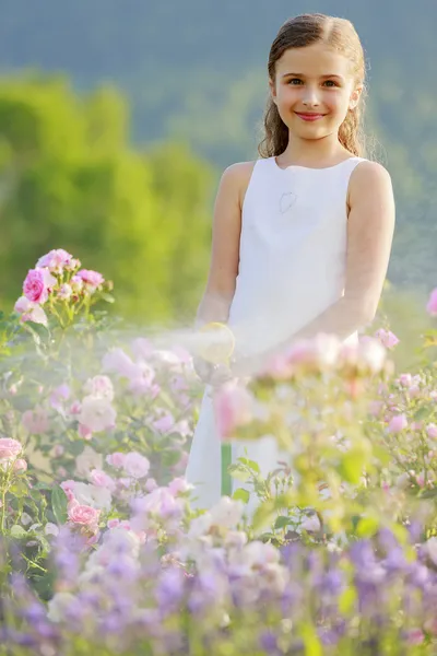 Giardino estivo, annaffiamento - bella ragazza annaffiamento rose — Foto Stock