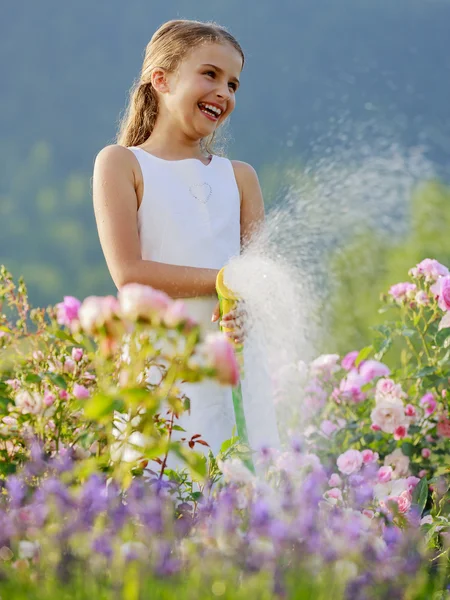 Nyári kert, locsolás - gyönyörű lány öntözés Rózsa — Stock Fotó