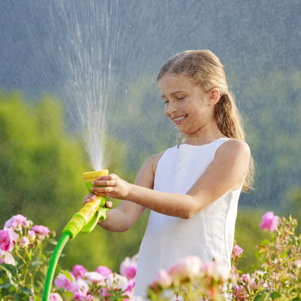 Літній сад, полив - красива дівчина поливає троянди — стокове фото