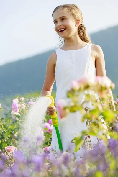 浇水，花卉园-浇水玫瑰的美丽女孩 — 图库照片