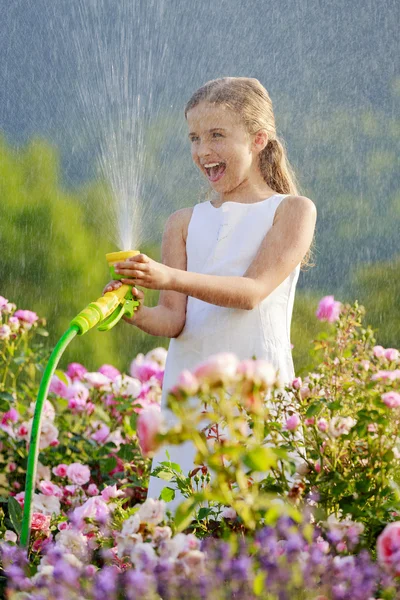 夏の庭、散水 - 美しいばらに水をまく少女 — ストック写真